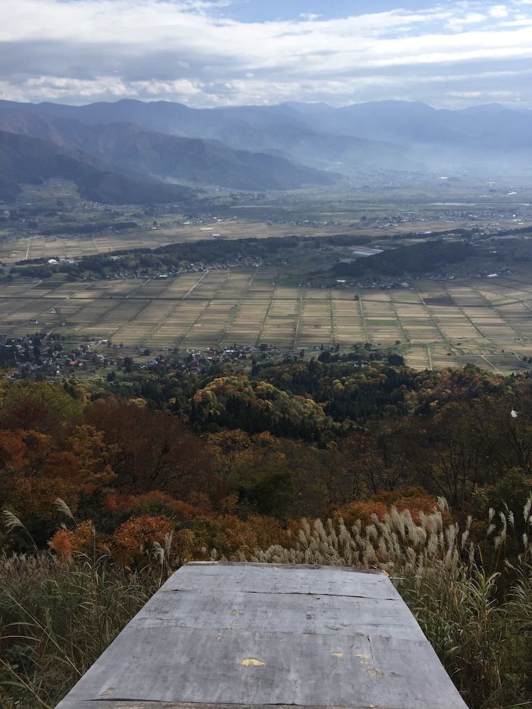 今年も始まって1ヶ月が経とうとしている