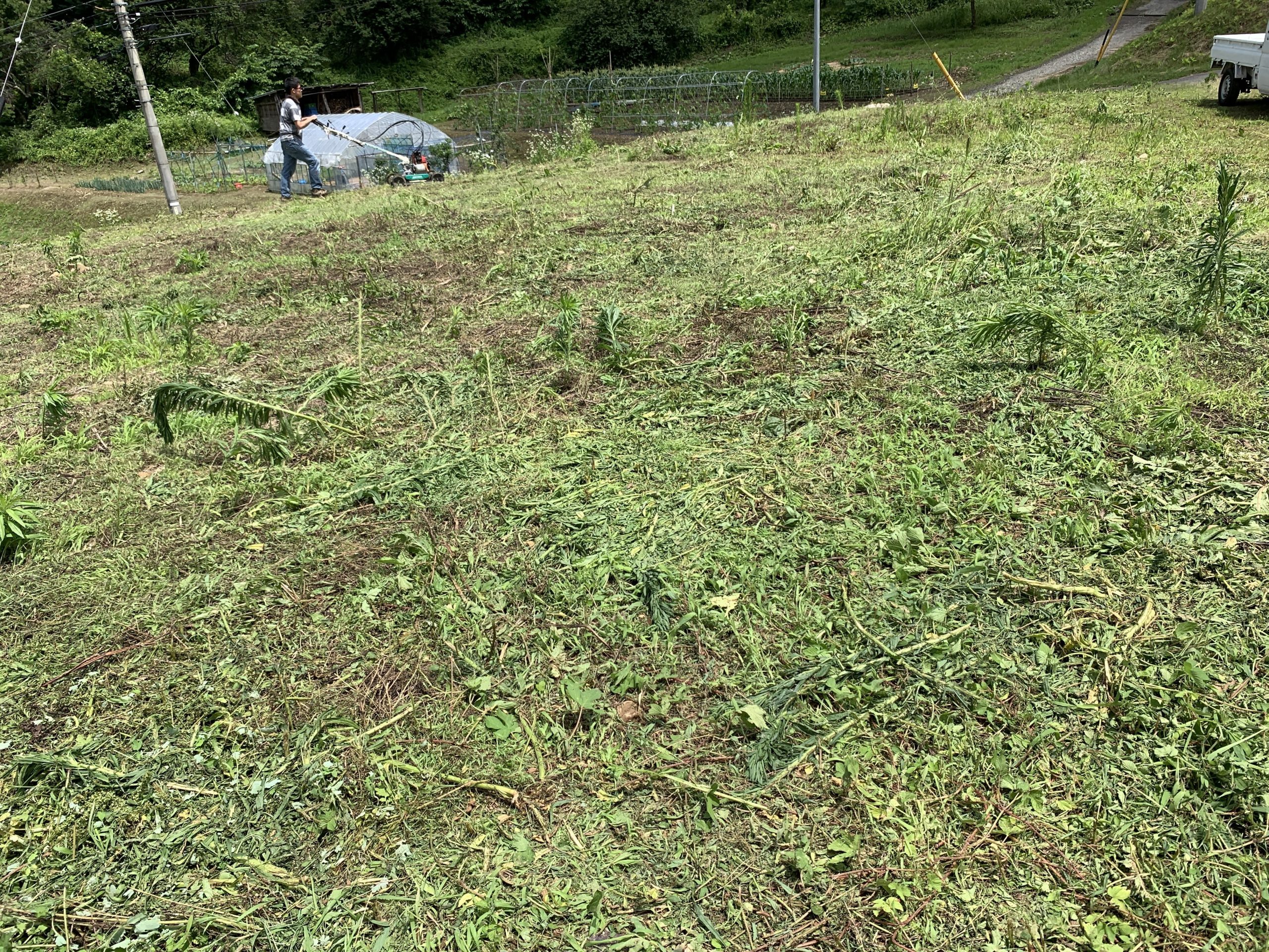 長野プロジェクト：2019年ダイジェスト②